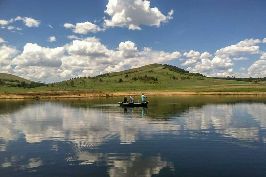trout fishing montana