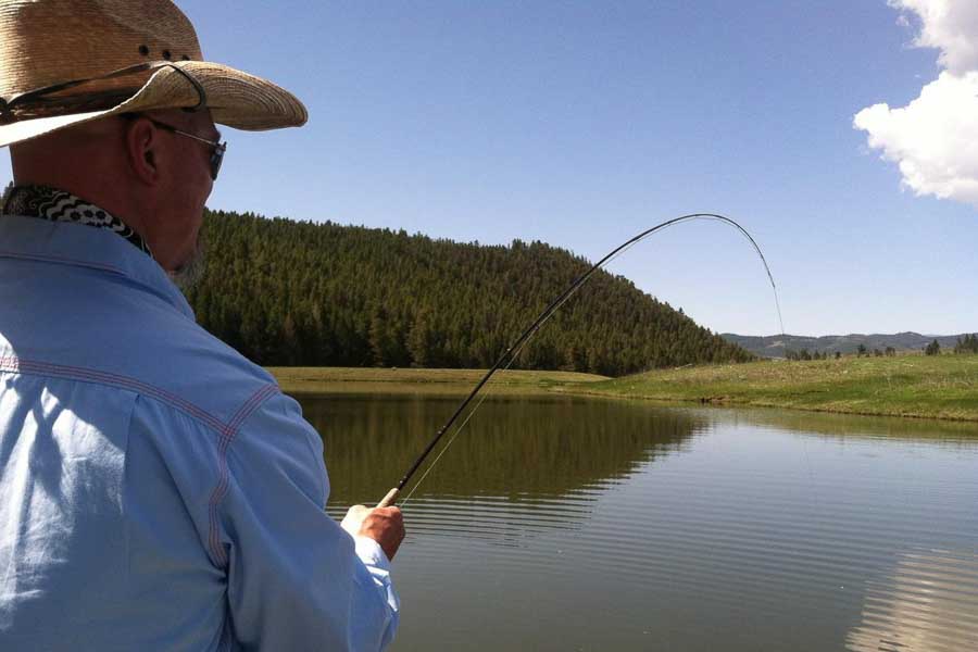 guided nelson fly fishing