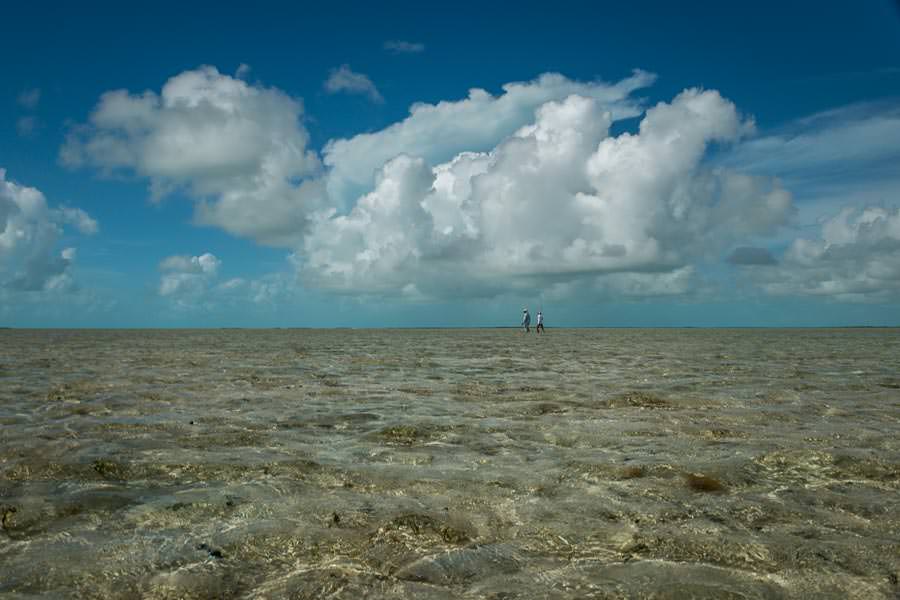 The flats on the South side of Andros seem to be endless