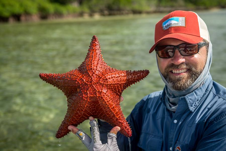 The ocean side flats are teaming with life including sea turtles, sharks and huge star fish