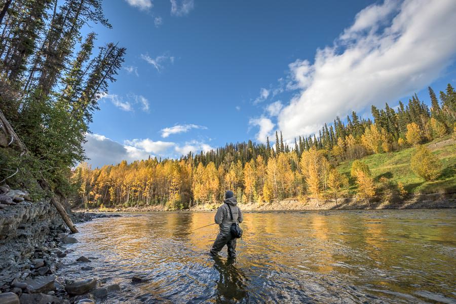 Searching for wild steelhead on the Sustut River in British Columbia Swinging flies on the upper Sustut