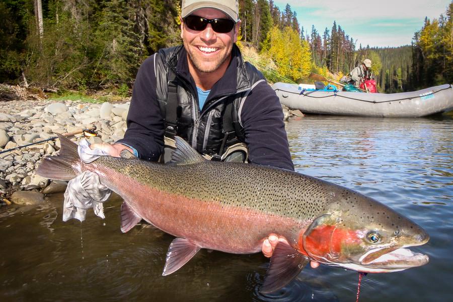 One of the larger Sustut steelhead I have had the pleasure of catching One of the larger Sustut steelhead I have had the pleasure of catching