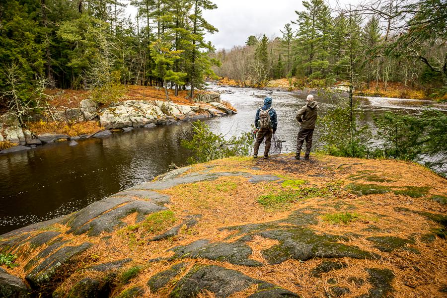 Scouting the Honey Hole!