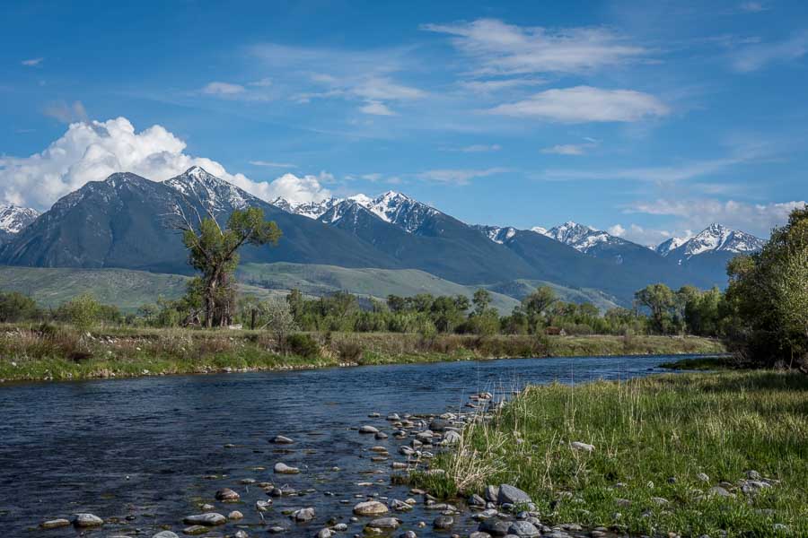 Armstrong Spring Creek With consistent flows 365 days a year, the spring creeks around Livingston are always a good bet