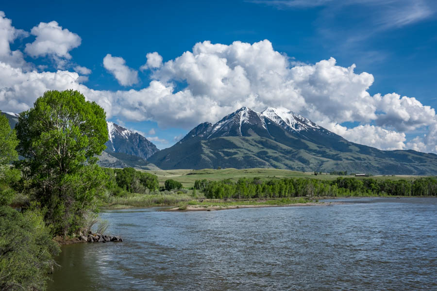 Yellowstone River May Fishing Spring on the 'Stone