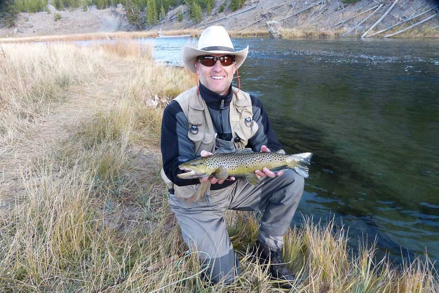 Yellowstone National Park Typical fall Brown in Yellowstone Park