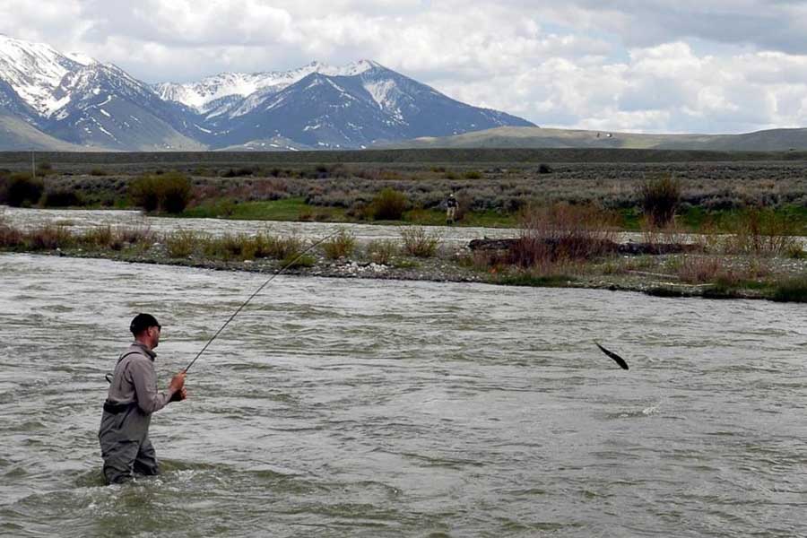 4 Keys to Success When Fishing the Madison River in Early June