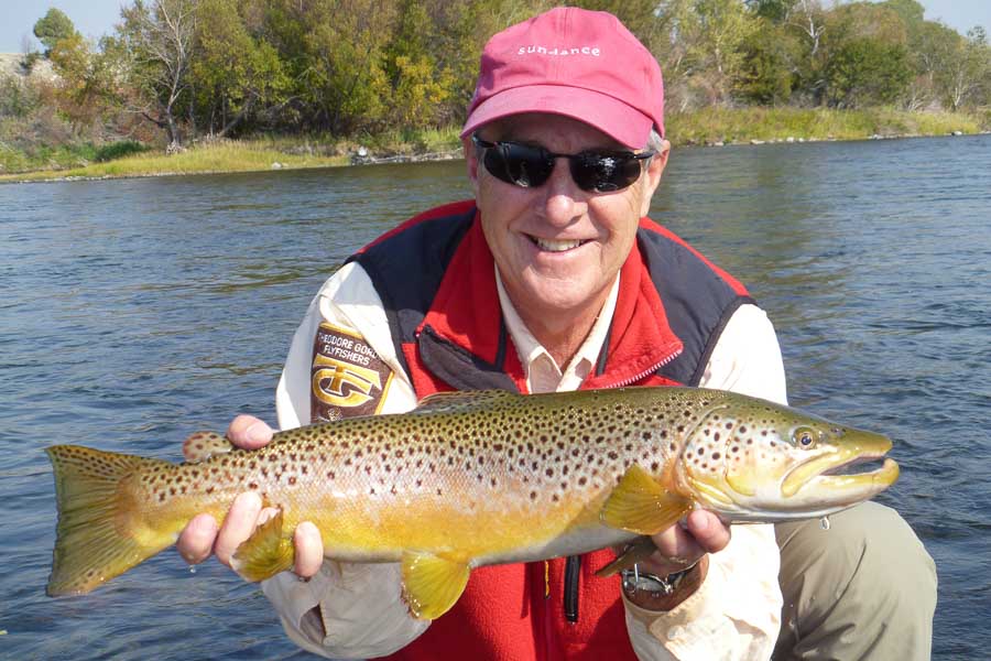Madison River Fly Fishing This big Brown was caught in the float section in late September