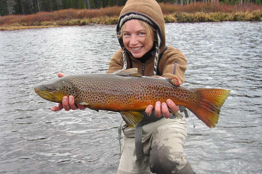 Fall Run Browns On The Madison River