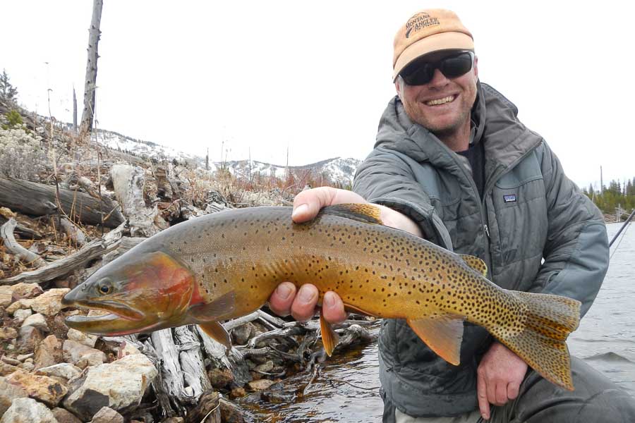 November Fly Fishing Big Native Cutthroat