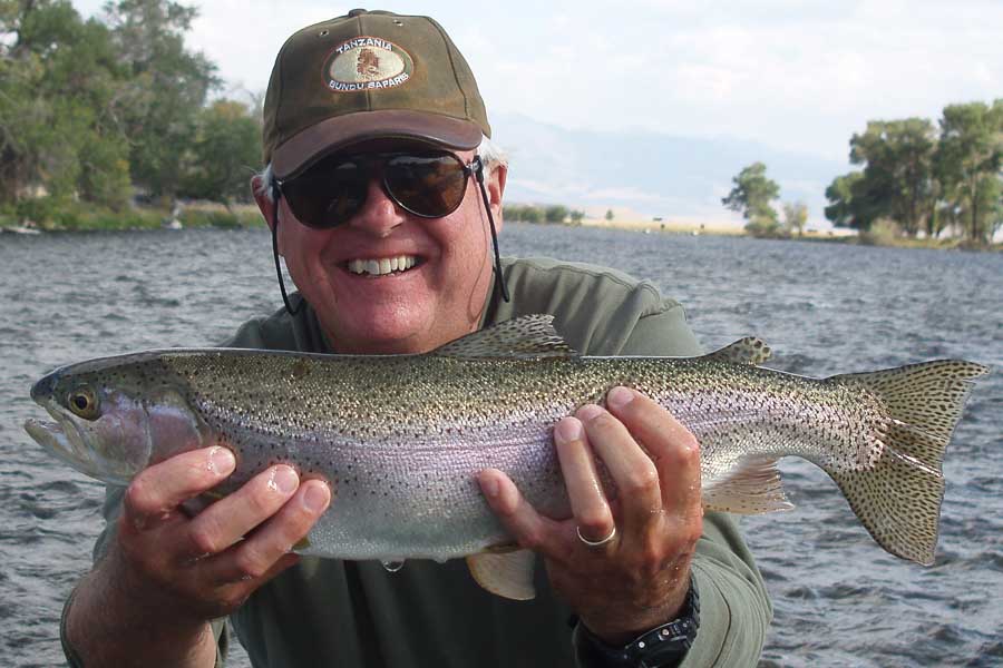 Madison River Fly Fishing August Rainbow taken on an Ant pattern