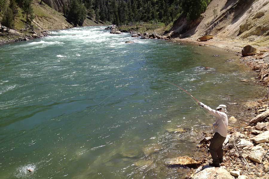 Hooked up on the Yellowstone