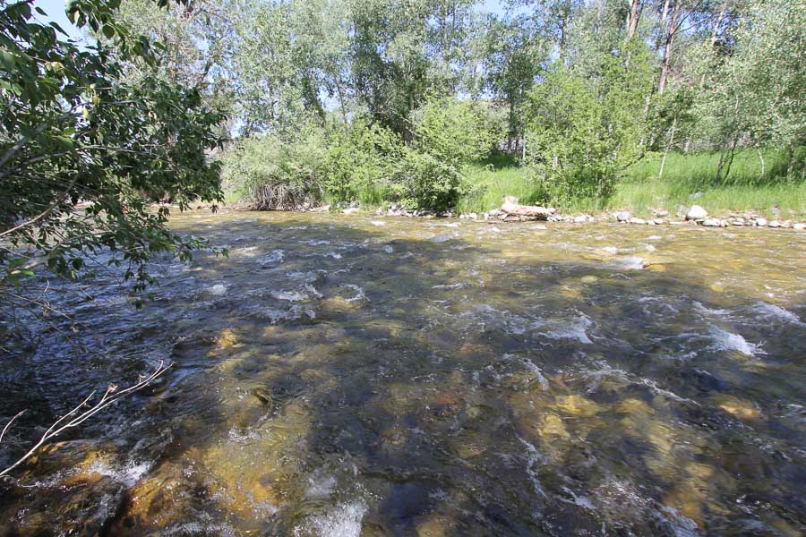 Cold, swift, boulder strewn streams are ideal habitat for Salmonfly's