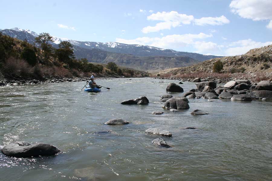 Yellowstone River When clear, the Yellowstone can be a dynamite spring option
