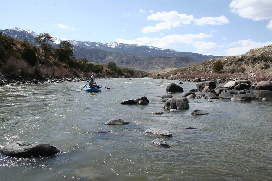 When clear, the Yellowstone can be a dynamite spring option