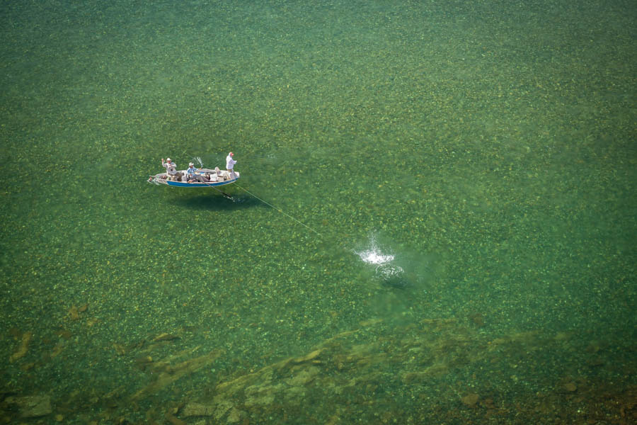 big dry fly eating argentina trout Tom Matlack's big dry suddenly vanished in an angry explosion as a huge rainbow erupted from 8 feet of gin clear water