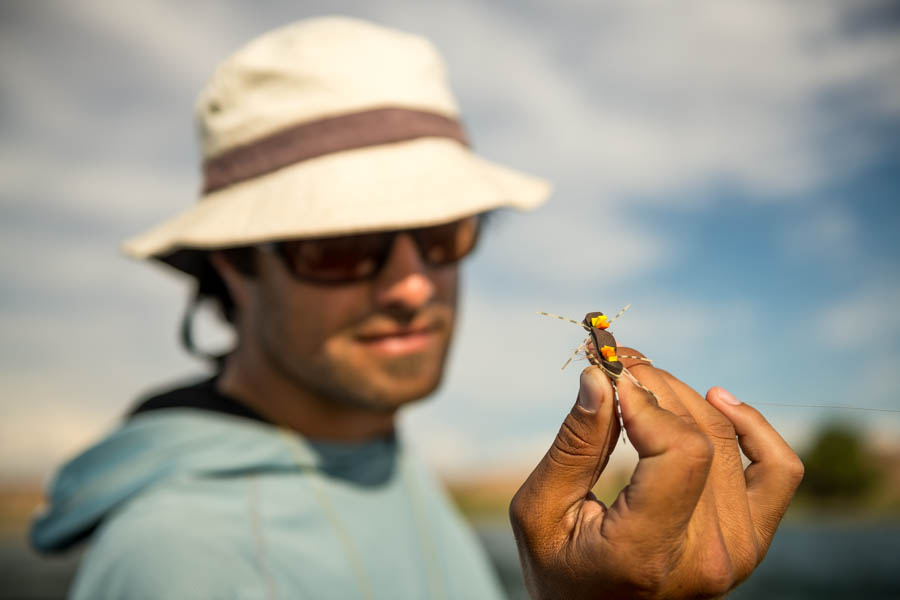 Big dry flies! Twitching huge chernobyl ants across massive tailouts was the preferred technique for targeting larger fish