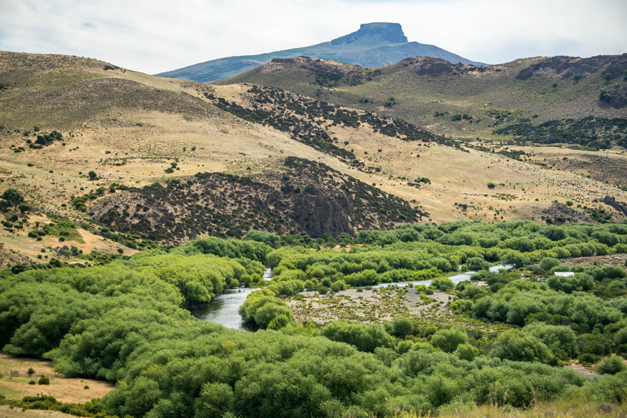 The legendary Malleo River filled with great hatches and rising trout