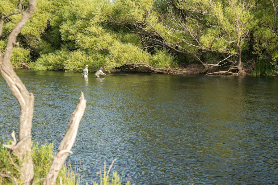 Malleo River Argentina John Gerwack casts to a rising brown below a willow under the watchful eye of head guide Alex Knull