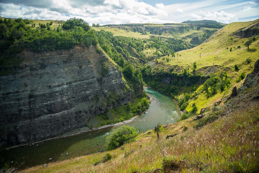 The Simpson River is one of Chile's most productive and is home to a great blend of rainbows and browns