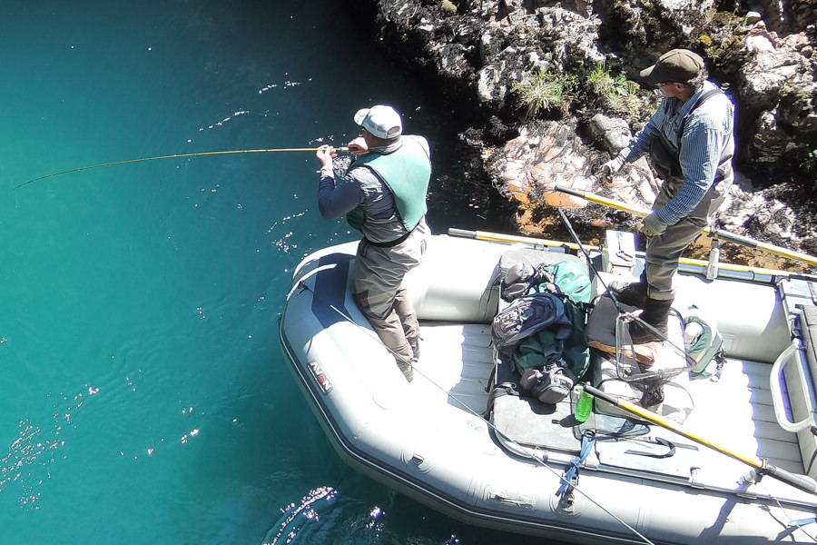 Big fish diving deep into the azure waters of the Rio Paloma