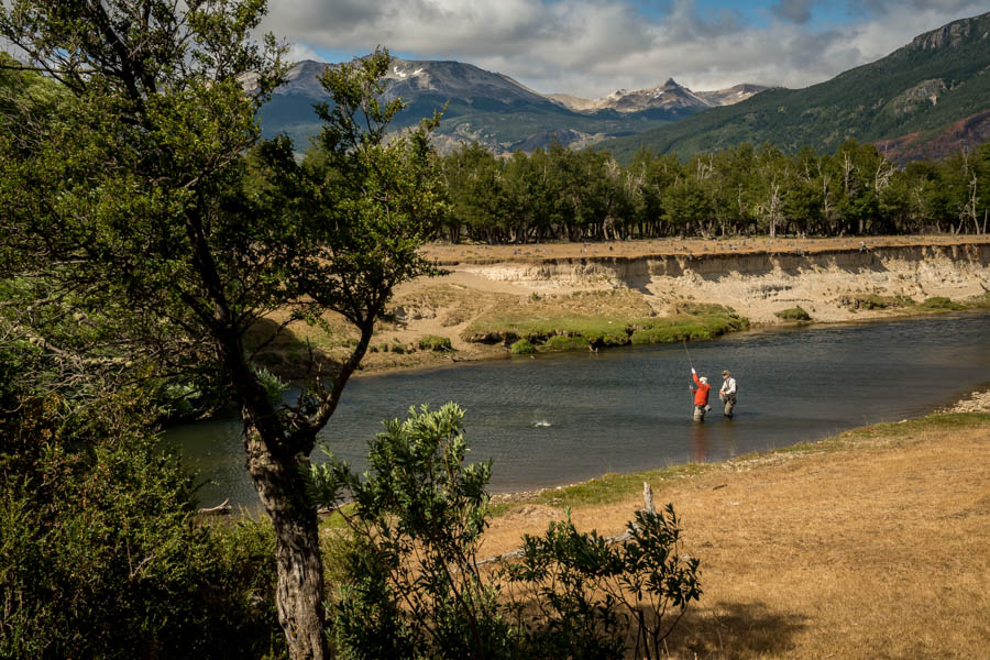 The Rio Pico in Argentina The Rio Pico is home to a high trout concentration dominated by rainbows in the 14-18" range. A few bigger bows and browns are also present