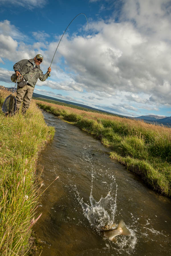 Fishing the Rio Pico in Argentina Julio chases a big rainbow down a side channel of the Rio Pico. The river channels of the Pico migrate for miles away from the main river and pick up significant spring creek influences producing a labyrinth of productive small waterways filled with large trout