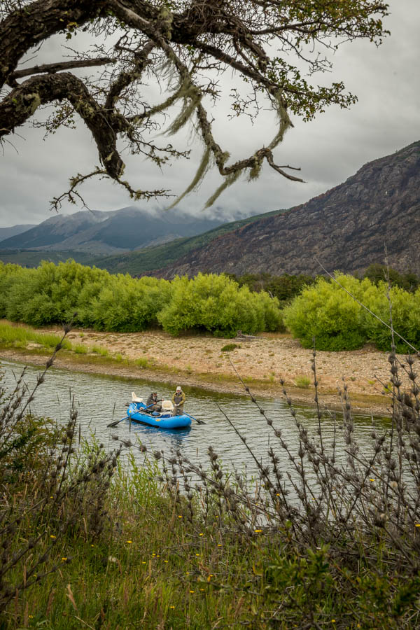 Floating the Rio Pico.  We had bell to bell action on a dry dropper rig, an action packed day!