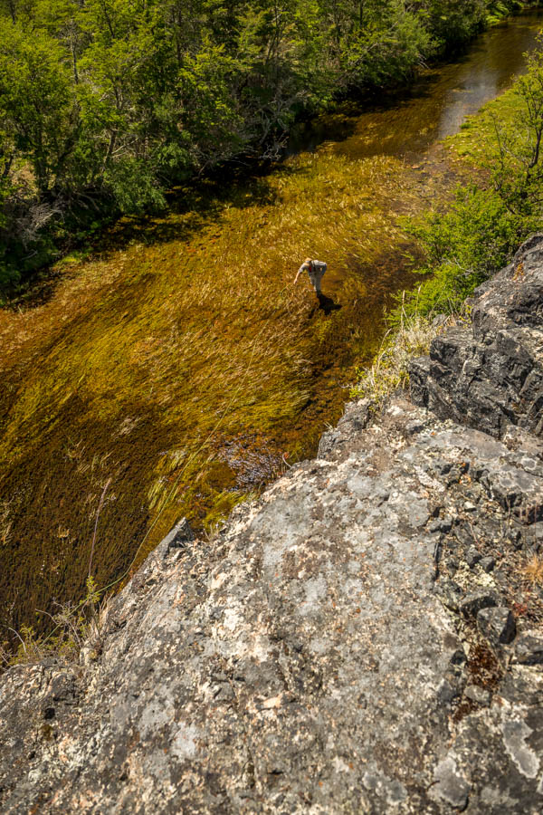 spring creek fishing in Argentina The rich spring fed waters produced heavy trout with the numerous weed beds and rich aquatic life