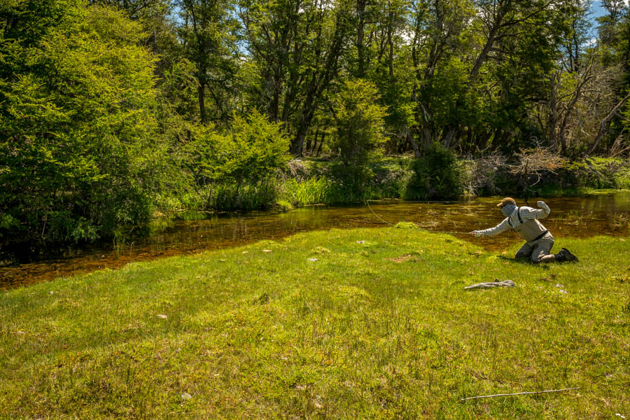 Spring creek fishing Each trout we spotted required a careful and well planned approach. This fish was a big brown we estimated to be 23", unfortunately he was smarter than the collective effort of a few humans trying to fool him