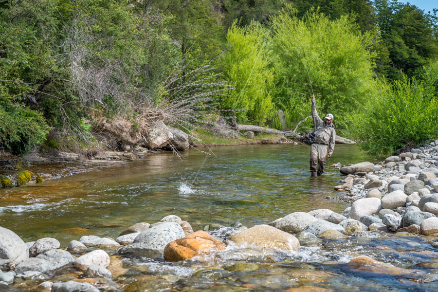 The Nielsen is filled with a seemingly endless bounty of scrappy mid sized dry fly loving rainbows