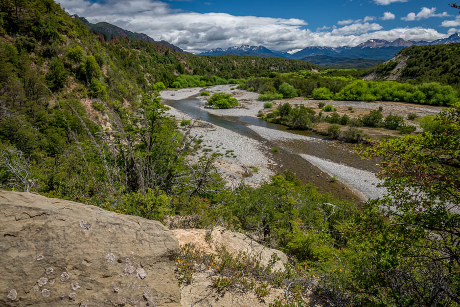 The Rio Nielson is a beautiful freestone tributary of the Rio Pico. It offers non stop dry fly action for medium sized rainbows and a few shots at 2 foot browns