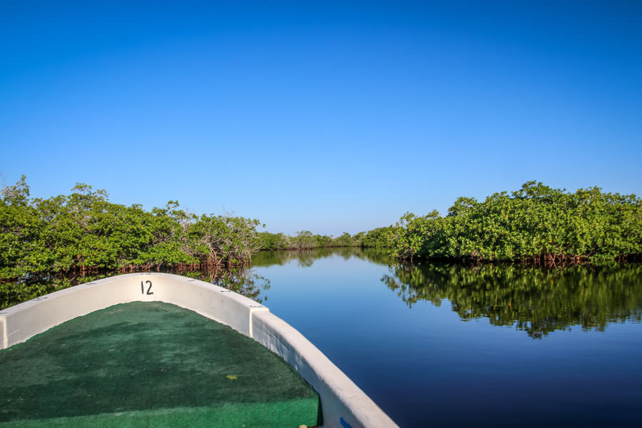 Lagoons among the mangroves hold Snook and Tarpon