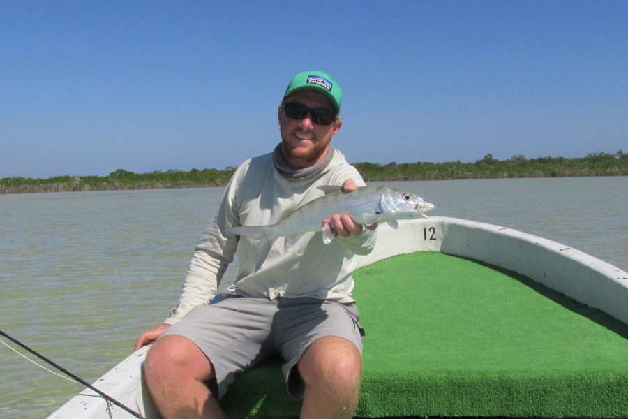 Smaller Bonefish like this one often travel across the flats in large schools