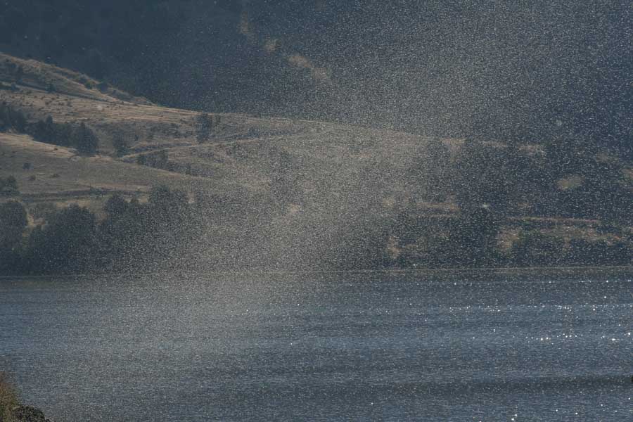 montana fishing trips