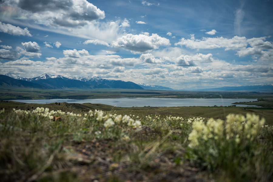 Ennis Lake Fishing Montana Angler Fly Fishing