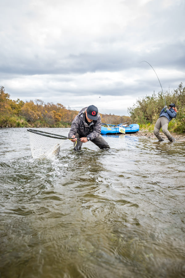big gibralter river rainbow Ann give's it all she has while guide Luke Coffey goes in for the scoop