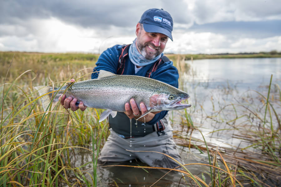 Kvichak river rainbow trout This big chrome rainbow was our big fish of the day. At 26" still just a modest fish by Kvichak standards