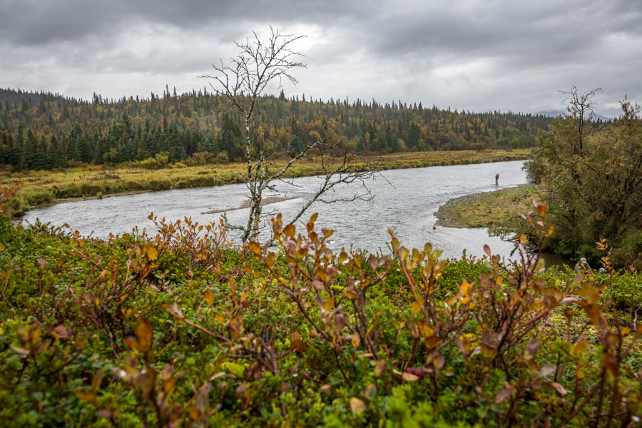 The Lower Copper River is a perfect wade fishing stream. Big enough to hold large trout and small enough to easily wade