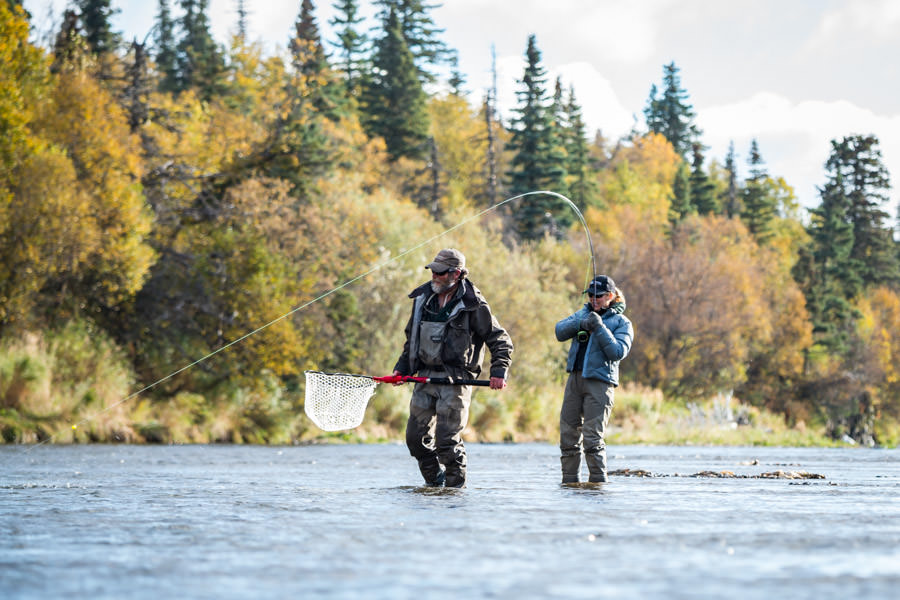 sight casting in Alaska Guiding Legend Monte Becker helps Ann net a nice one. We spent the middle part of the day sight casting to big bows under sunny skies
