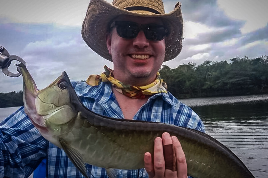 Arowana fish In additon to peacocks lodge guests also have a chance at other exotic species such as the Arowana caught by Philip Edison during our trip. Other game species include payara (vampire fish) and the massive aripaima which can exceed 300lbs