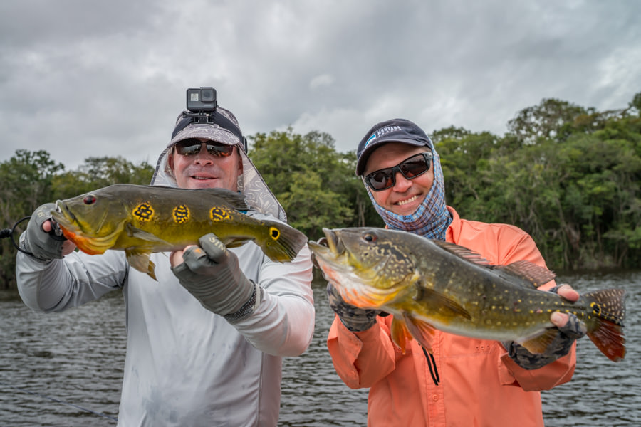 The Agua Boa offers anglers three species of peacock bass. Pictured here is the spotted version of the larger Temensis which can grow to over 20lbs and the smaller but abundant Butterfly Peacock