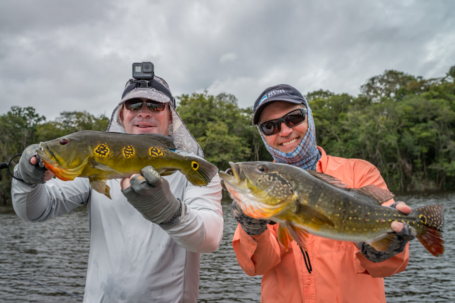 Peacock Bass at Agua Boa The Agua Boa offers anglers three species of peacock bass. Pictured here is the spotted version of the larger Temensis which can grow to over 20lbs and the smaller but abundant Butterfly Peacock