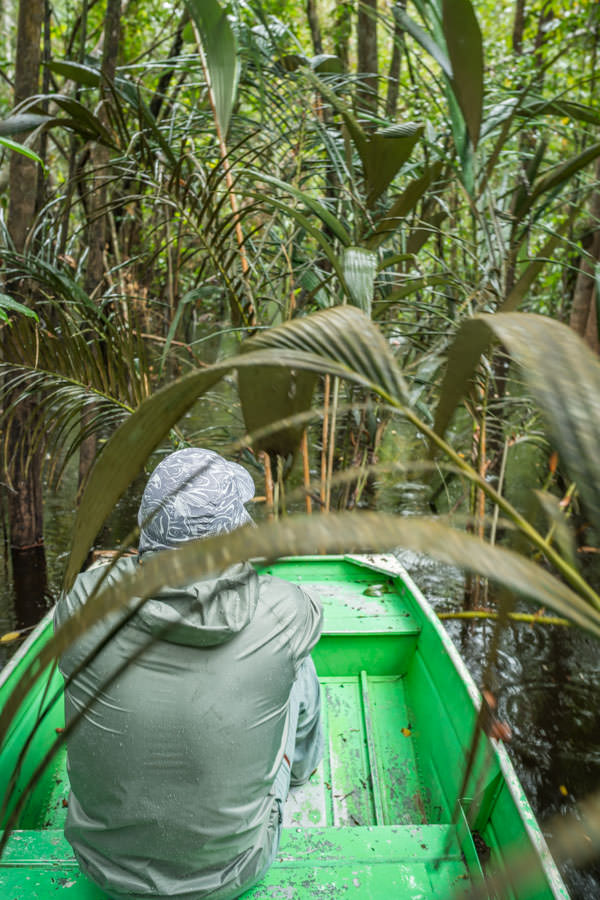exploring the jungle The density of the jungle is awe inspiring and half the fun of the lagoon days was getting to them