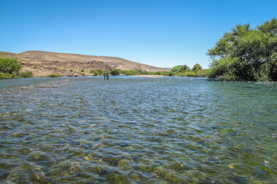 The Chimehuin is a classic freestone trout river with a swift current and productive riffles and pocket water