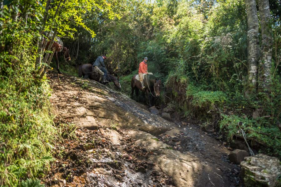 The first of three interesting trail sections