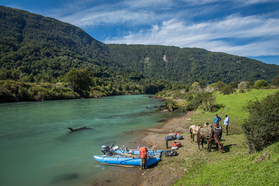 Trading horses for boats. Trading horses for boats.