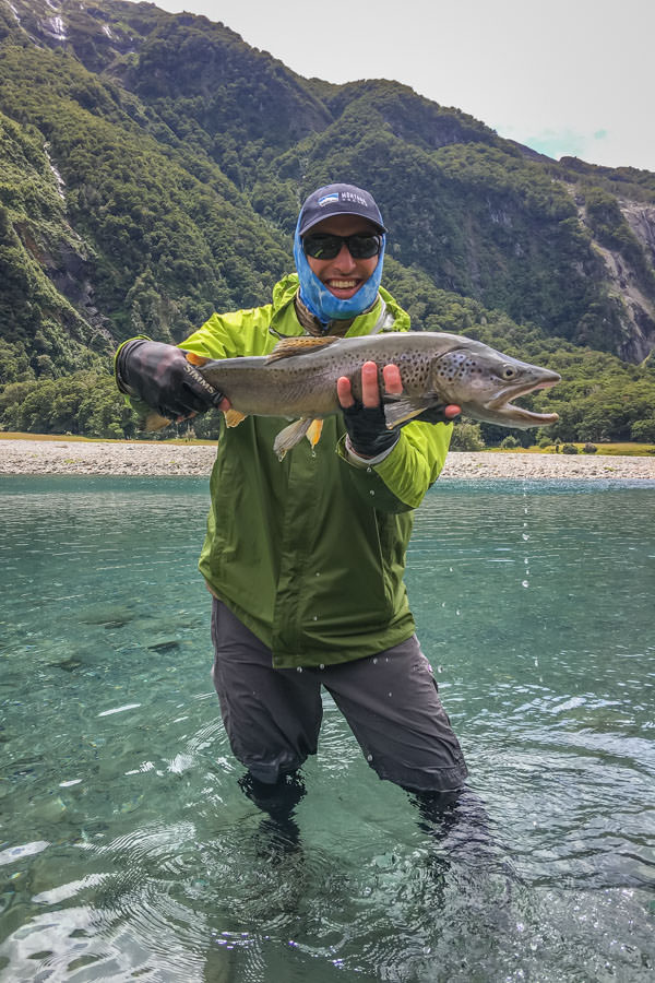 Trophy New Zealand brown trout