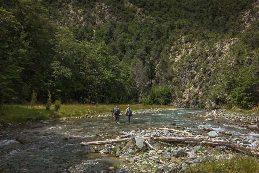 New Zealand guided fly fishing trips