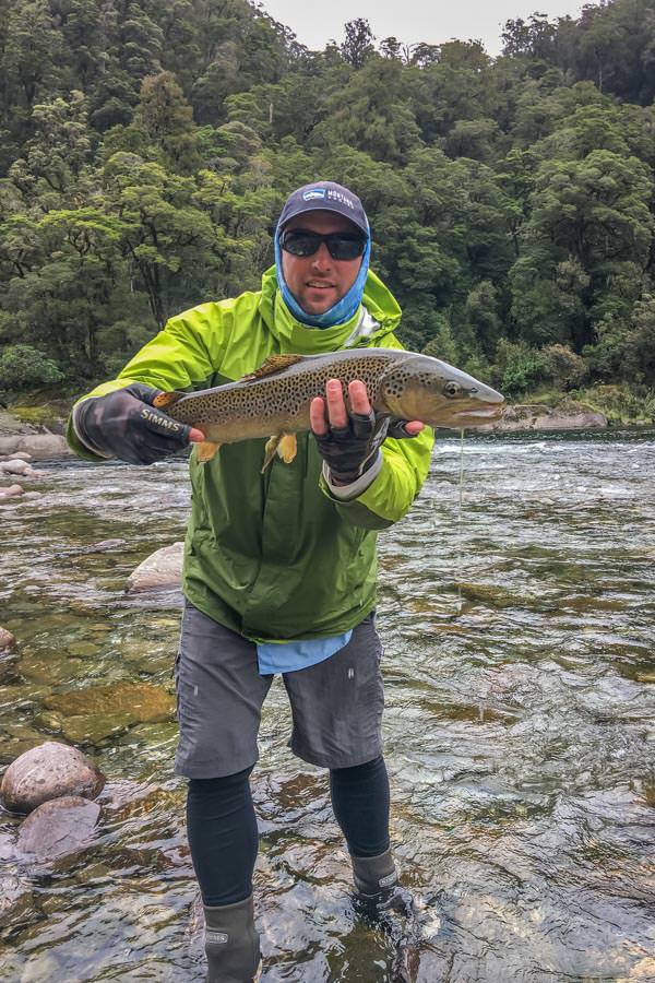 Solid New Zealand Brown Trout